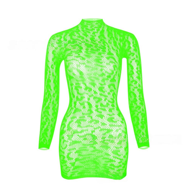 Leopard Lace Mesh Mini Dress