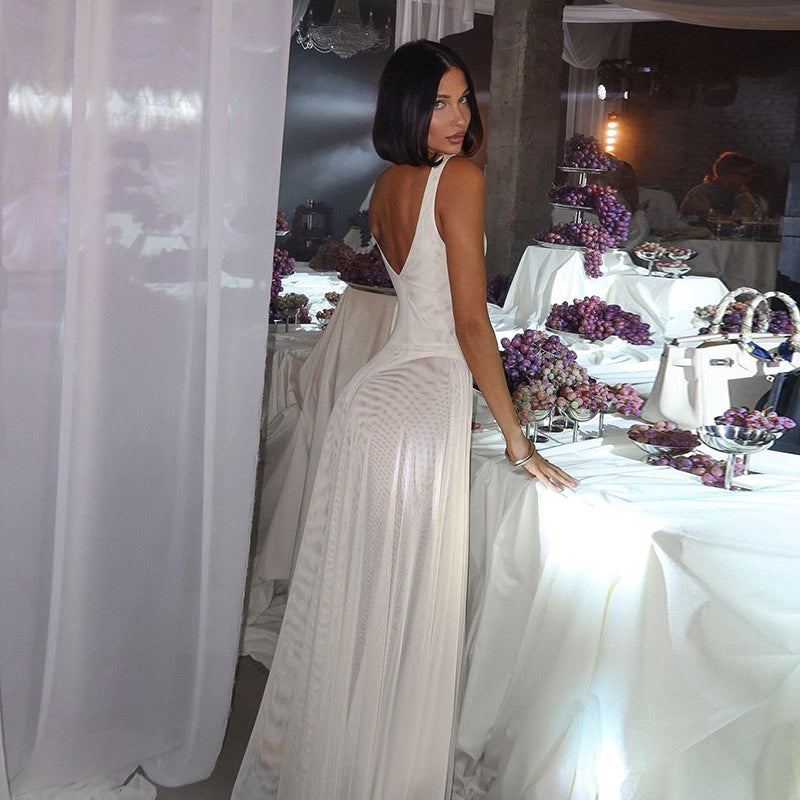 Sheer Mesh Maxi Dress