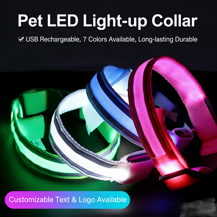 Pet LED Safety Collar Rechargeable/Battery Dual Options Multi-Color 3-Mode Night Anti-Lost Collar