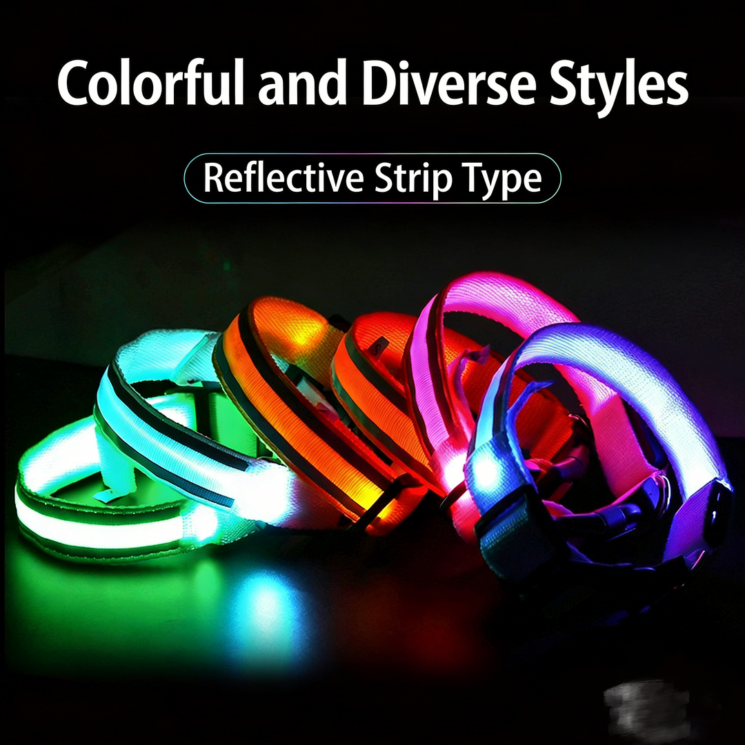 Pet LED Safety Collar Rechargeable/Battery Dual Options Multi-Color 3-Mode Night Anti-Lost Collar