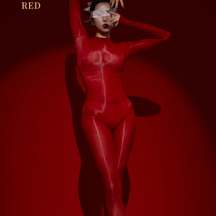 Glossy Sheer Long-Sleeve Bodystocking