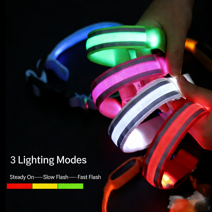 Pet LED Safety Collar Rechargeable/Battery Dual Options Multi-Color 3-Mode Night Anti-Lost Collar